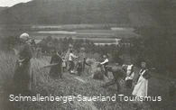 Getreideernte bei Gleierbrück. 