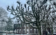 Villa Grün im Winter