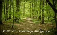 Erlebniswald Historischer Tiergarten Siegen